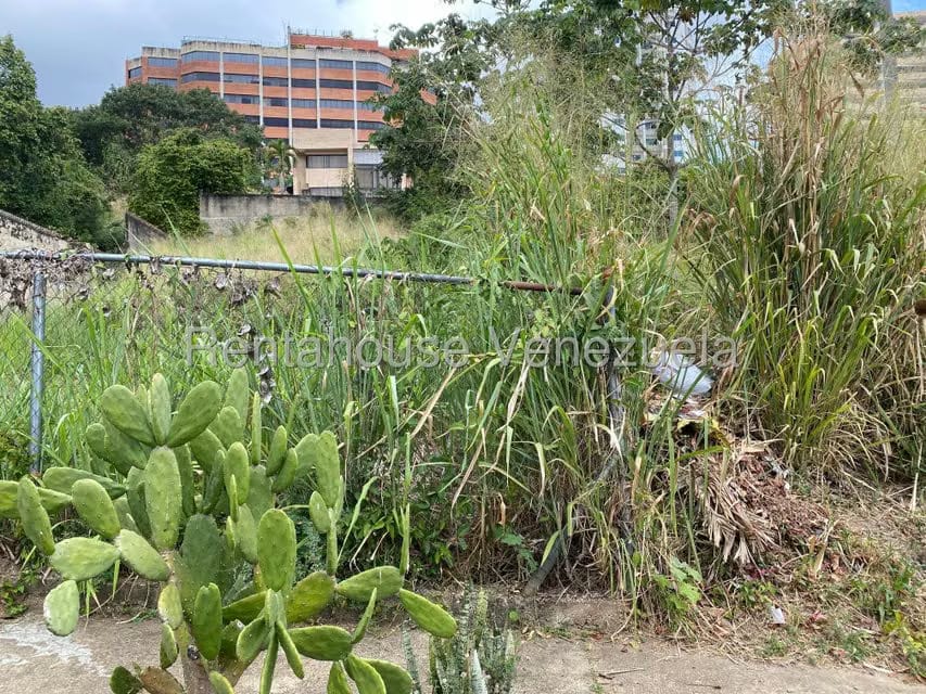 Terreno (Comercial) en Venta en El Parral, Carabobo - 14