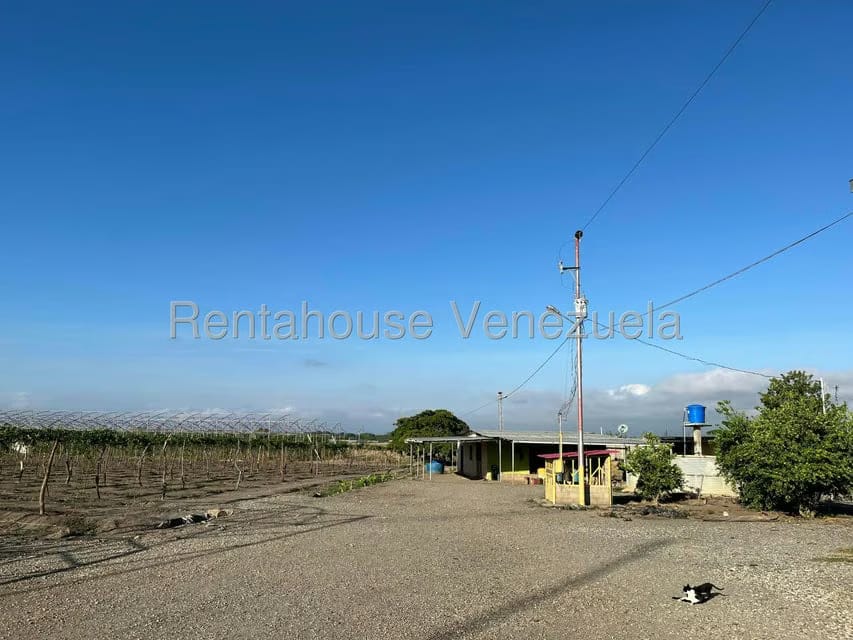 Terreno (Finca) en Venta en Municipio Jimenez, Lara - 12