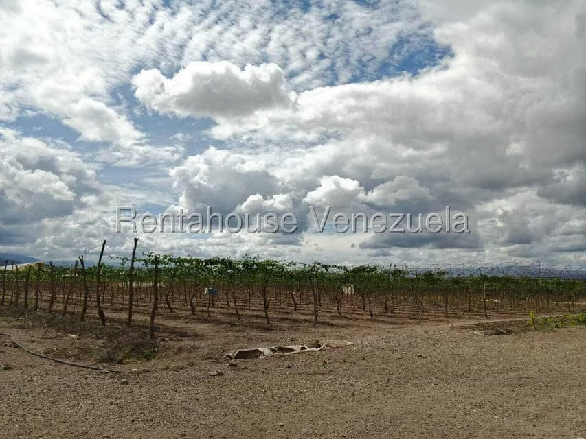 Terreno (Finca) en Venta en Municipio Jimenez, Lara - 8