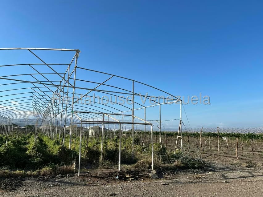 Terreno (Finca) en Venta en Municipio Jimenez, Lara - 10