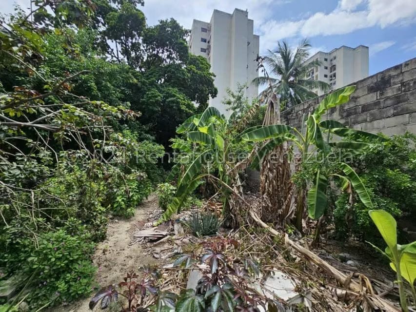 Terreno (Comercial) en Venta en Zona Centro, Aragua - 2