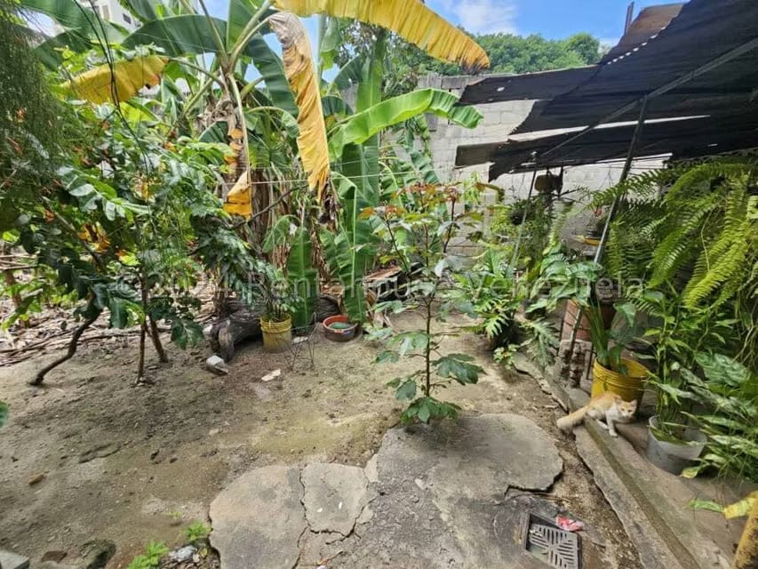 Terreno (Comercial) en Venta en Zona Centro, Aragua - 12