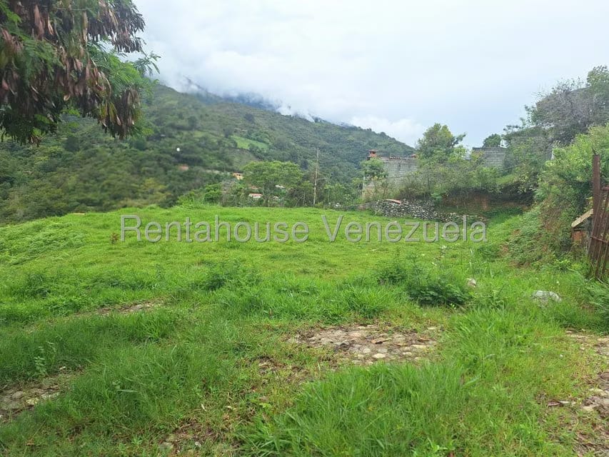 Terreno (Residencial) en Venta en La Joya, Merida - 19