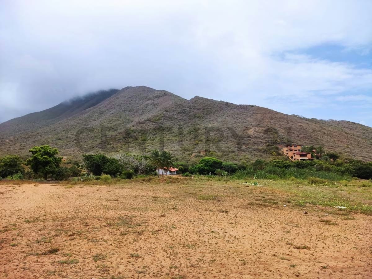 Venta de Finca con Terreno Fértil y Potencial Residencial en Guarame - 3