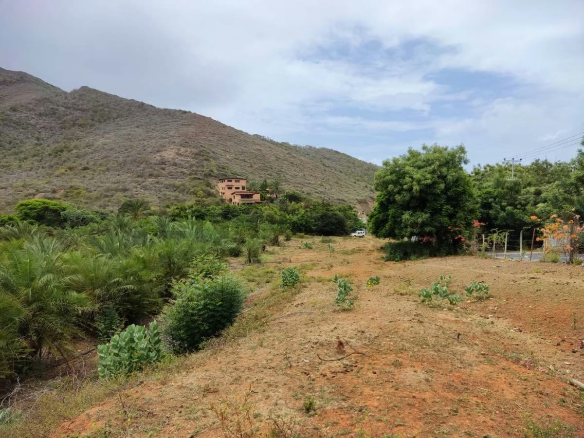Venta de Finca con Terreno Fértil y Potencial Residencial en Guarame - 4