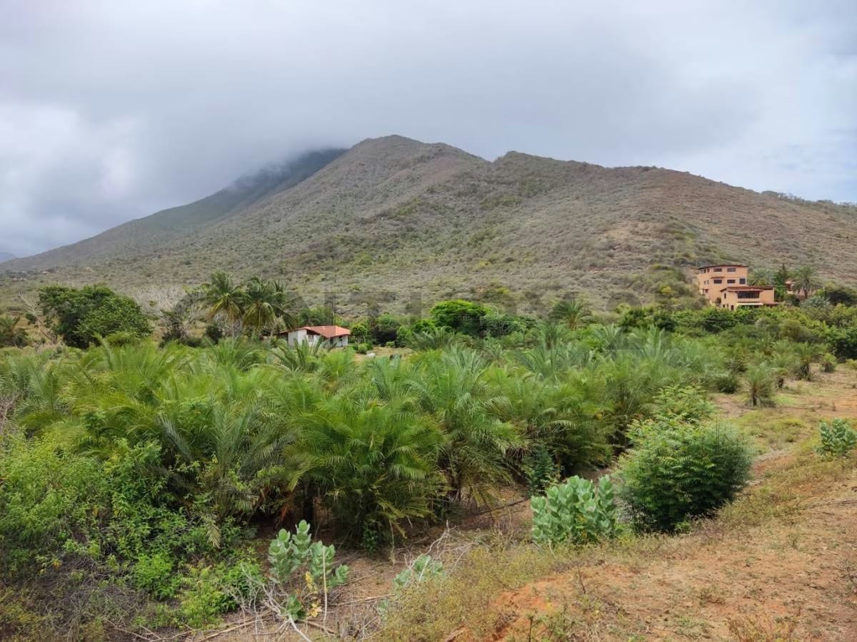 Venta de Finca con Terreno Fértil y Potencial Residencial en Guarame - 5