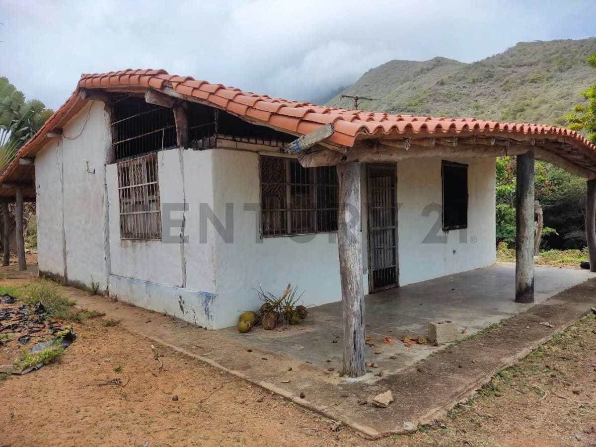 Venta de Finca con Terreno Fértil y Potencial Residencial en Guarame - 7