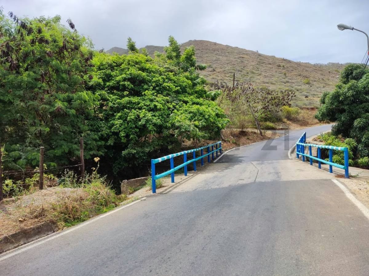 Venta de Finca con Terreno Fértil y Potencial Residencial en Guarame - 10