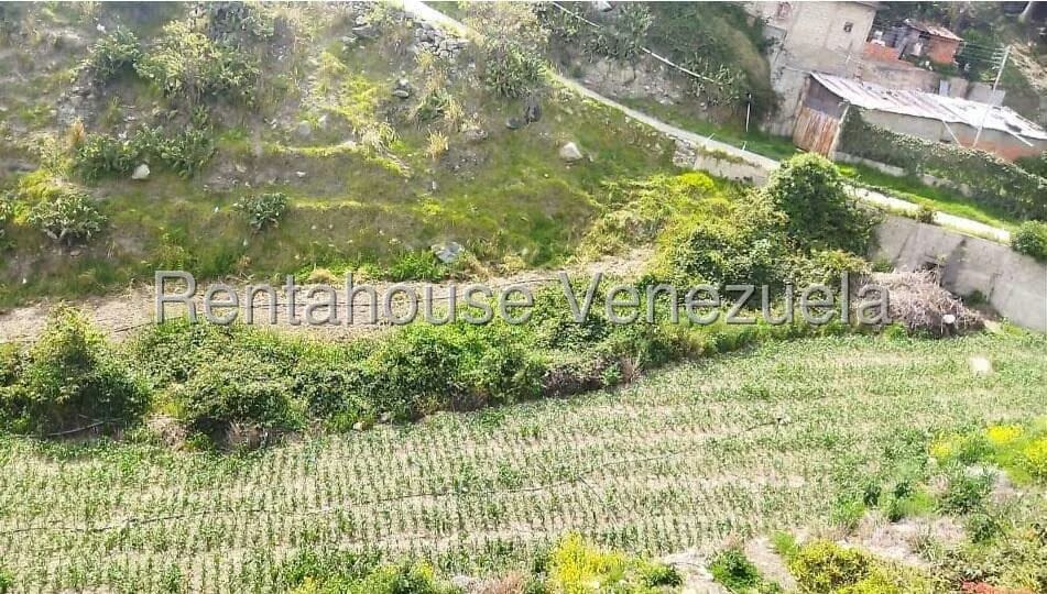 Terreno (Finca) en Venta en La Toma, Merida - 11