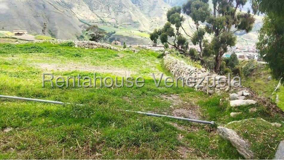Terreno (Finca) en Venta en La Toma, Merida - 3