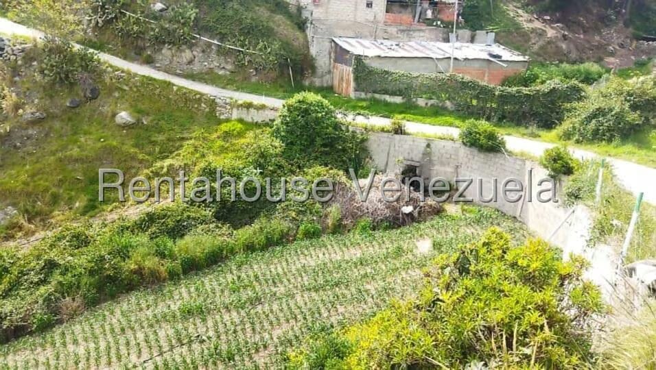 Terreno (Finca) en Venta en La Toma, Merida - 6