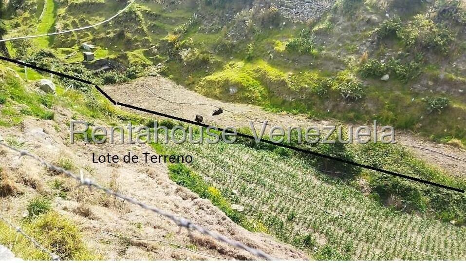 Terreno (Finca) en Venta en La Toma, Merida - 8