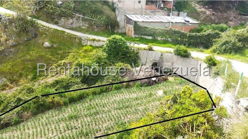 Terreno (Finca) en Venta en La Toma, Merida - 9