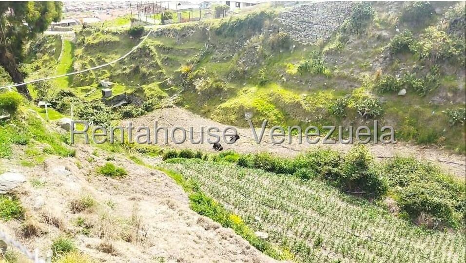 Terreno (Finca) en Venta en La Toma, Merida - 10