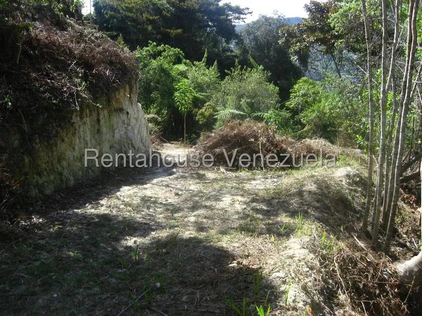 Terreno (Comercial) en Venta en La Colonia Tovar, Aragua - 3