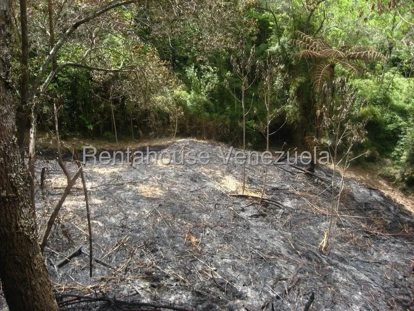 Terreno (Comercial) en Venta en La Colonia Tovar, Aragua - 6