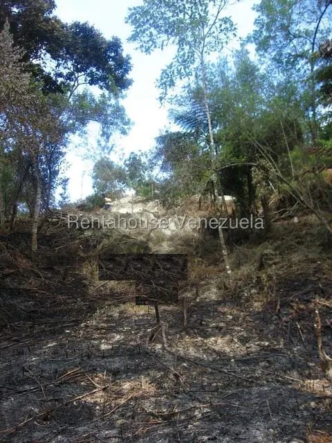 Terreno (Comercial) en Venta en La Colonia Tovar, Aragua - 10