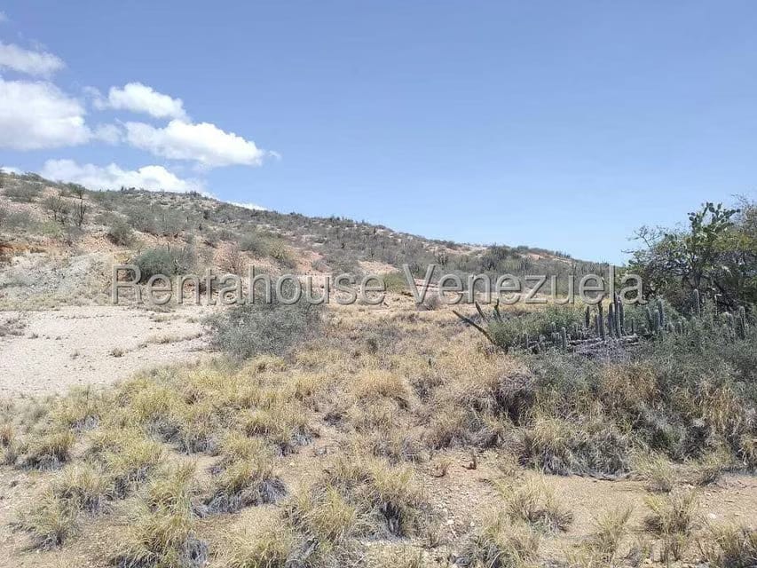 Terreno (Comercial) en Venta en Macanao, Nueva Esparta - 11
