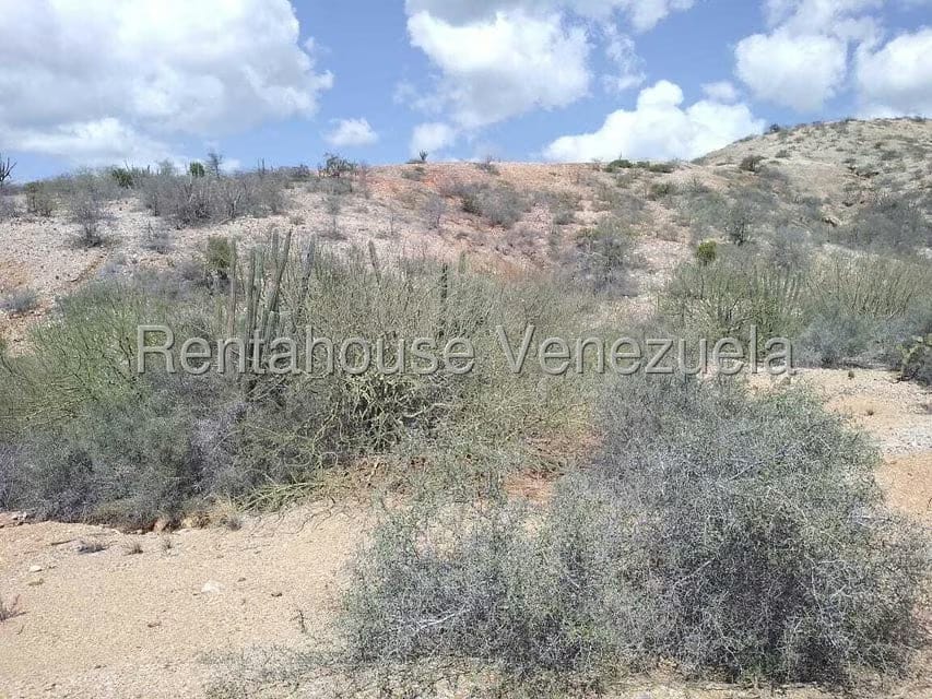 Terreno (Comercial) en Venta en Macanao, Nueva Esparta - 13