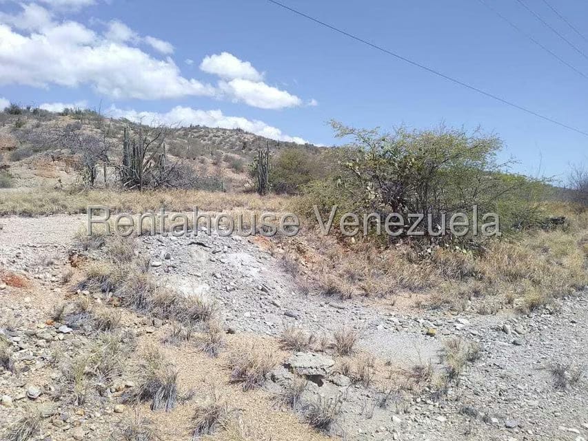 Terreno (Comercial) en Venta en Macanao, Nueva Esparta - 21