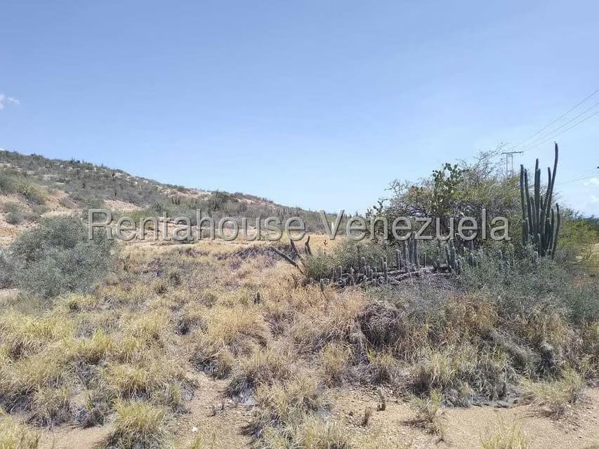 Terreno (Comercial) en Venta en Macanao, Nueva Esparta - 9