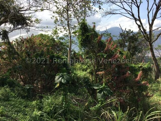 Terreno (Residencial) en Venta en Solares del Carmen, Distrito Metropolitano - 16