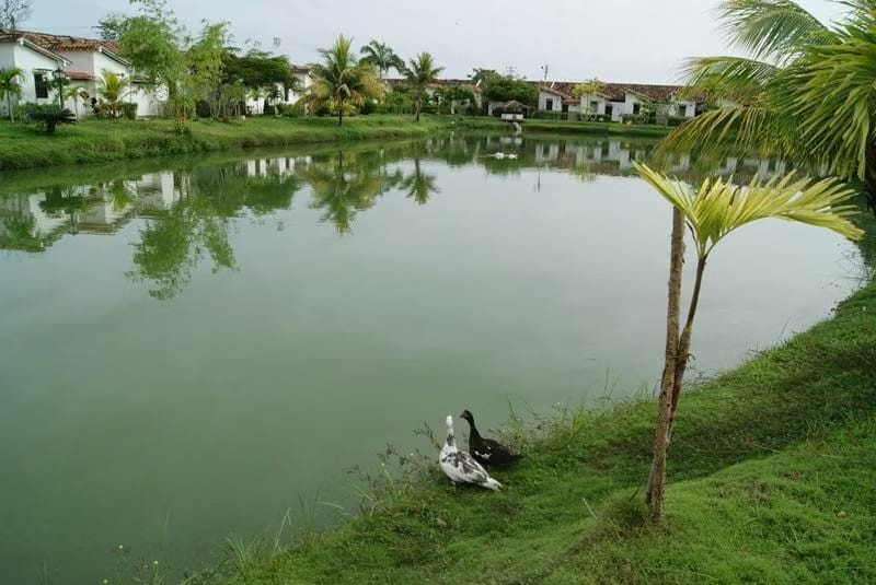 Townhouse (Duplex) en Venta en Via Curiepe, Miranda - 24