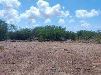 Terreno para Uso habitacional, comercial e industrial - 2