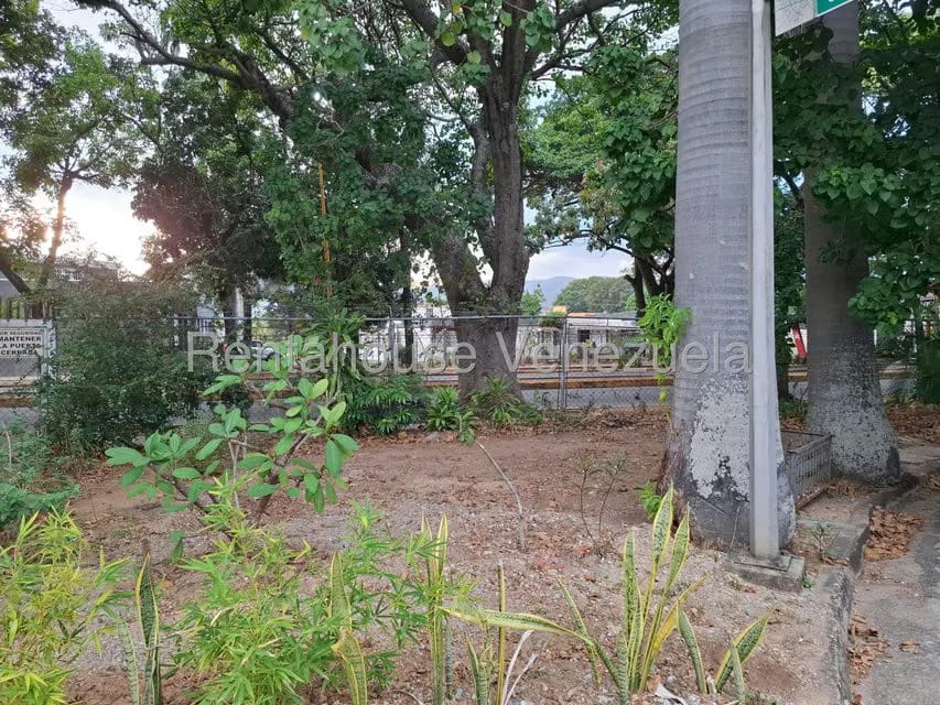 Casa (Multipes Niveles) en Alquiler en Trigal Centro, Carabobo - 53