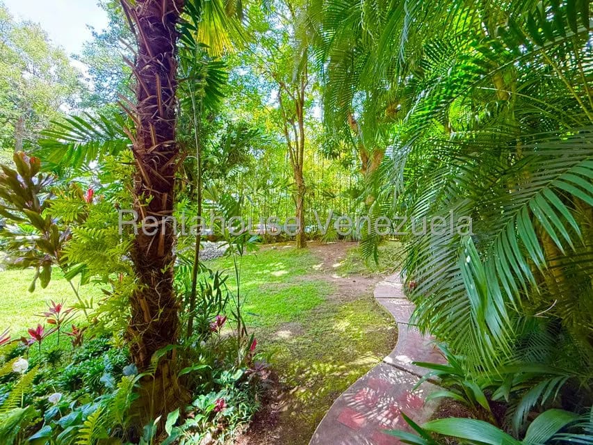 Apartamento (1 Nivel) en Alquiler en La Castellana, Distrito Metropolitano - 42