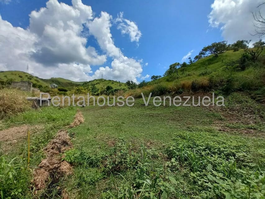 Casa (1 Nivel) en Venta en Villa Virginia, Aragua - 39