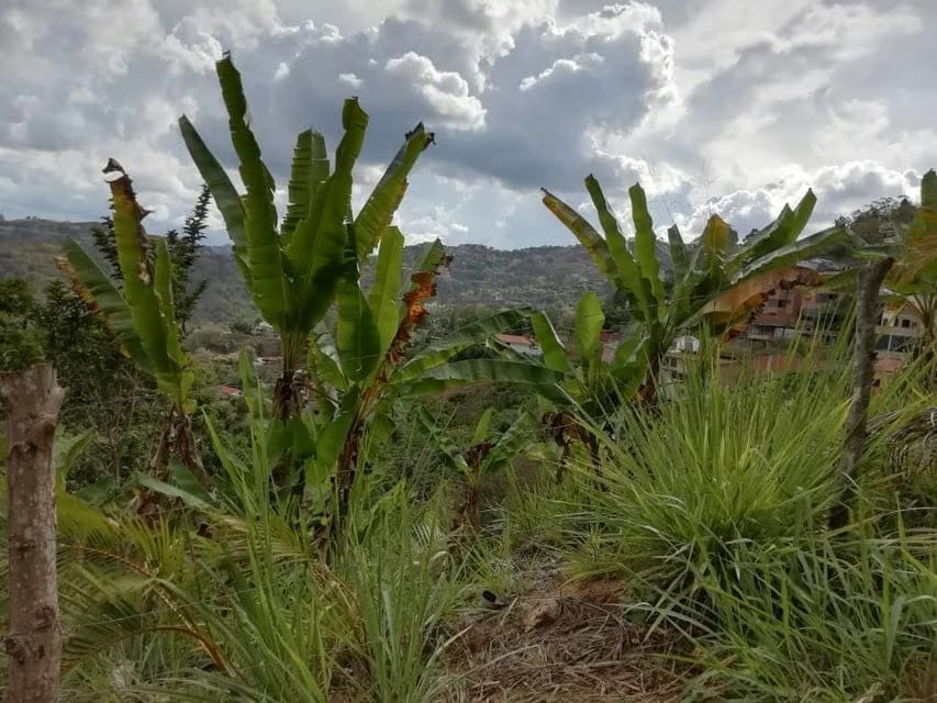Terreno (Residencial) en Venta en El Hatillo, Distrito Metropolitano - 9