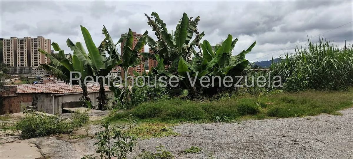 Comercial (Galpon - Deposito) en Venta en La Matica, Miranda - 13