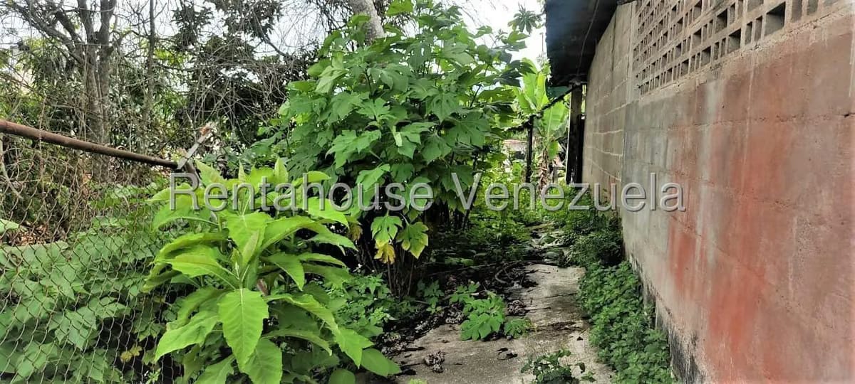 Comercial (Galpon - Deposito) en Venta en La Matica, Miranda - 24