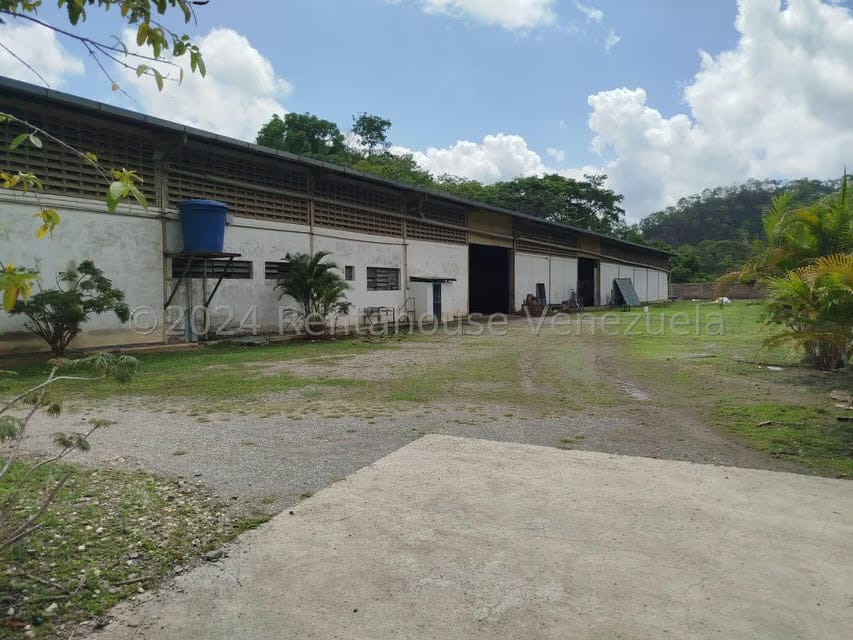 Comercial (Galpon - Deposito) en Venta en Las Cumacas, Miranda - 3