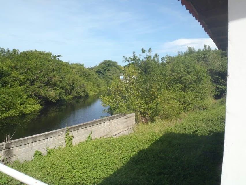 Casa (1 Nivel) en Venta en Los Canales de Rio Chico, Miranda - 21