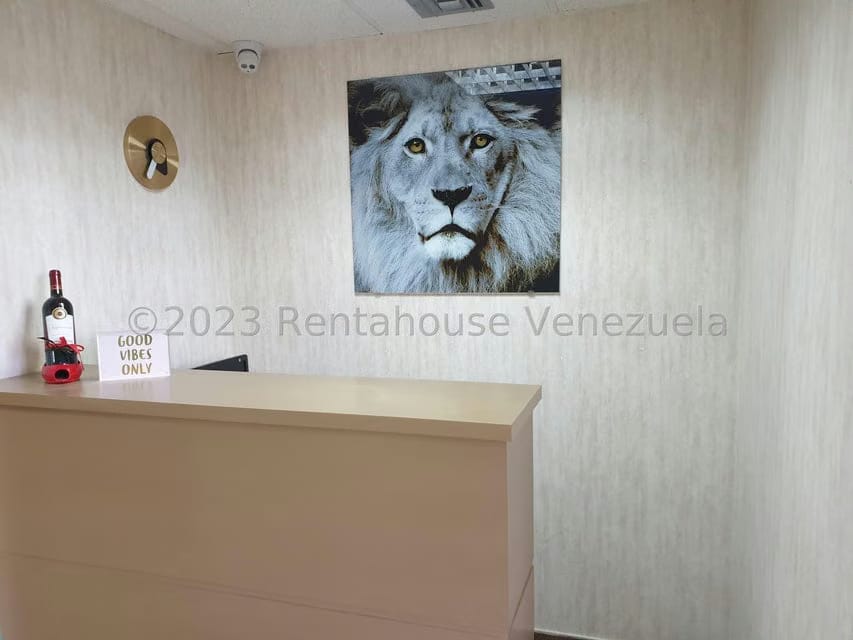 Comercial (Local Comercial) en Venta en Miranda, Distrito Metropolitano - 19