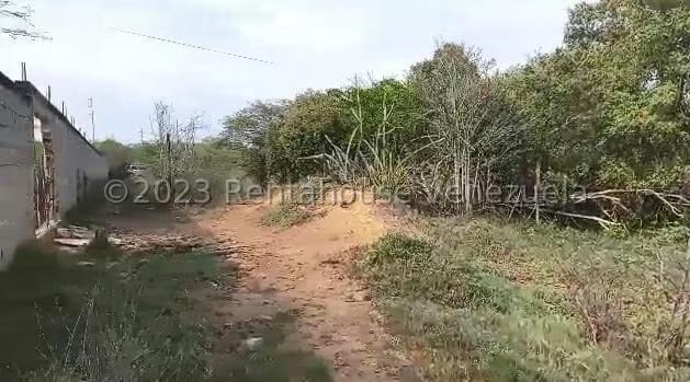 Terreno (Industrial) en Venta en Zona Industrial, Zulia - 5