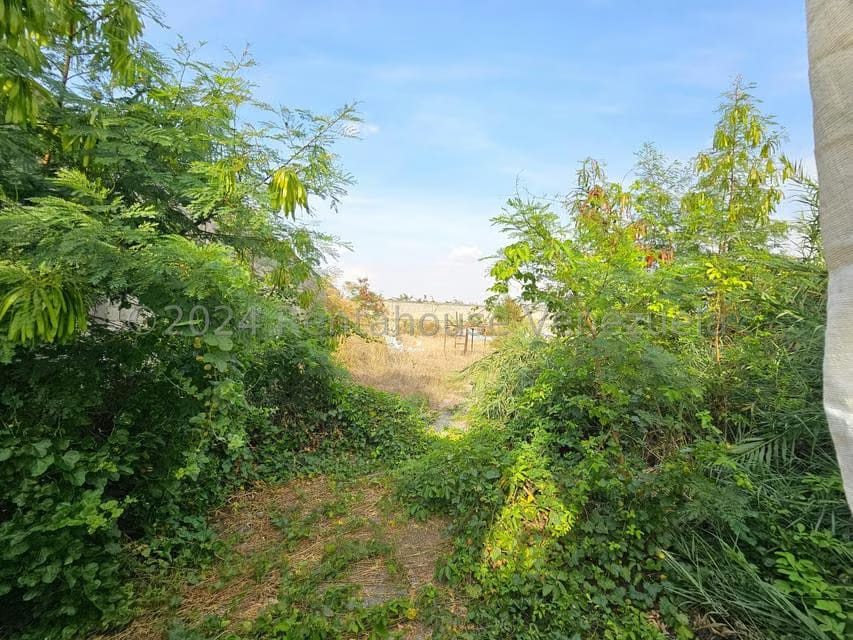 Terreno (Comercial) en Venta en La Montanita, Lara - 15