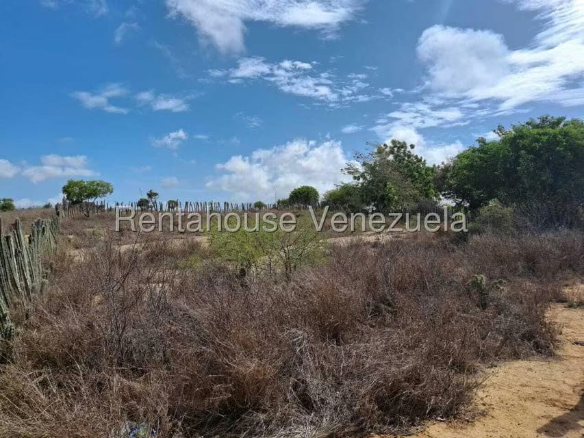 Terreno (Residencial) en Venta en El Yaque, Nueva Esparta - 13