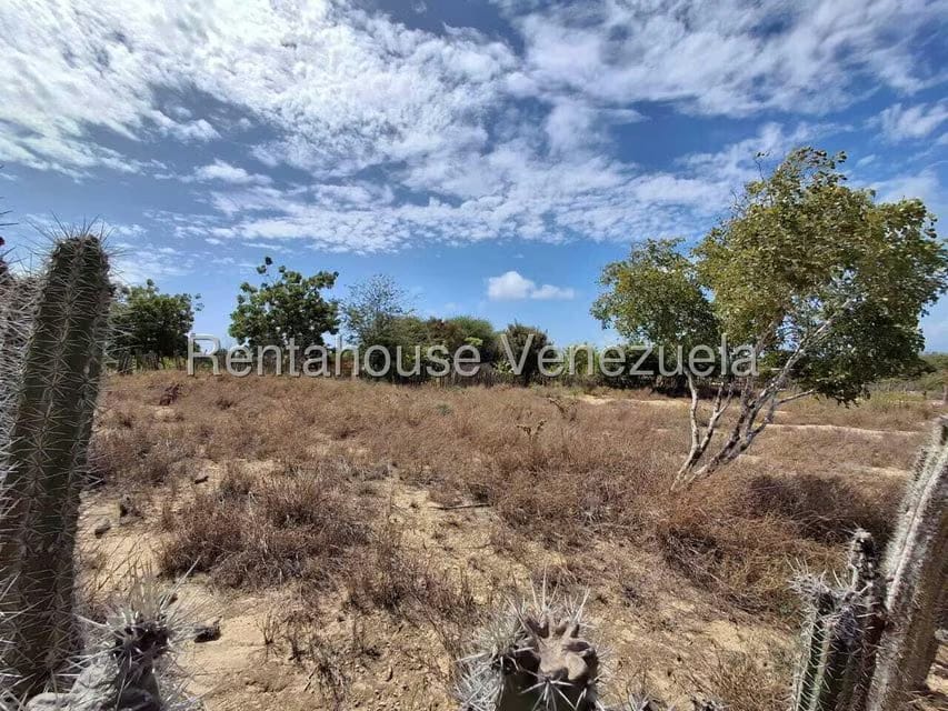 Terreno (Residencial) en Venta en El Yaque, Nueva Esparta - 4