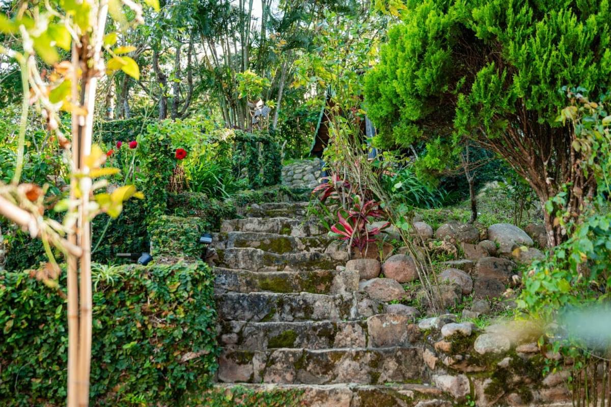 Casa Quinta Colonial, La chapa. Sierra de Falcón - 27
