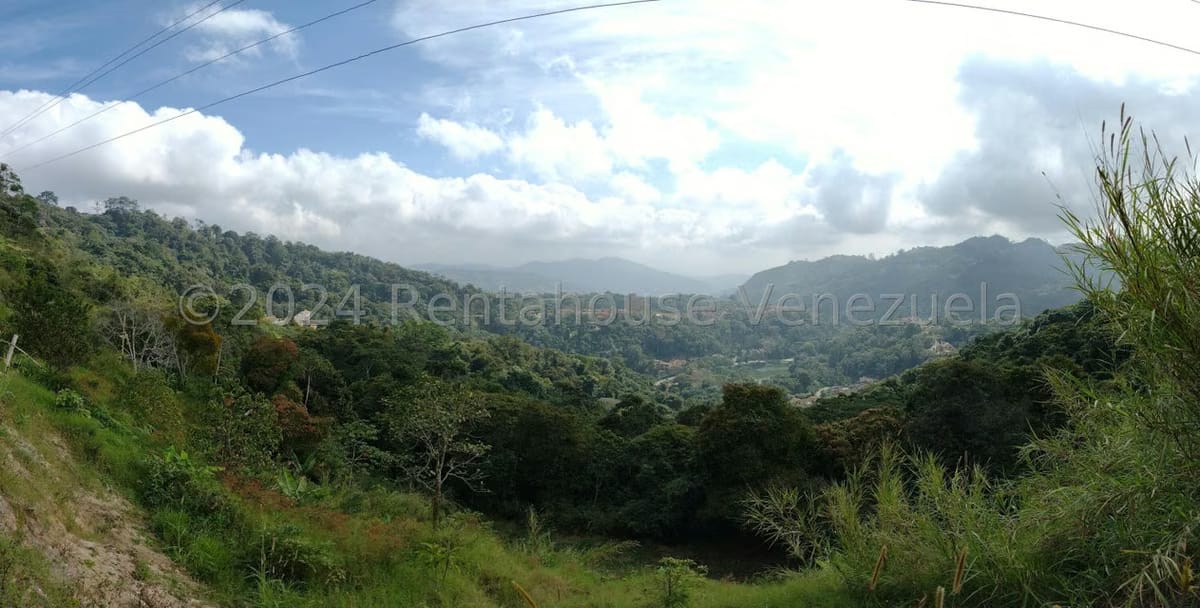 Terreno (Residencial) en Venta en Monte Claro, Distrito Metropolitano - 2