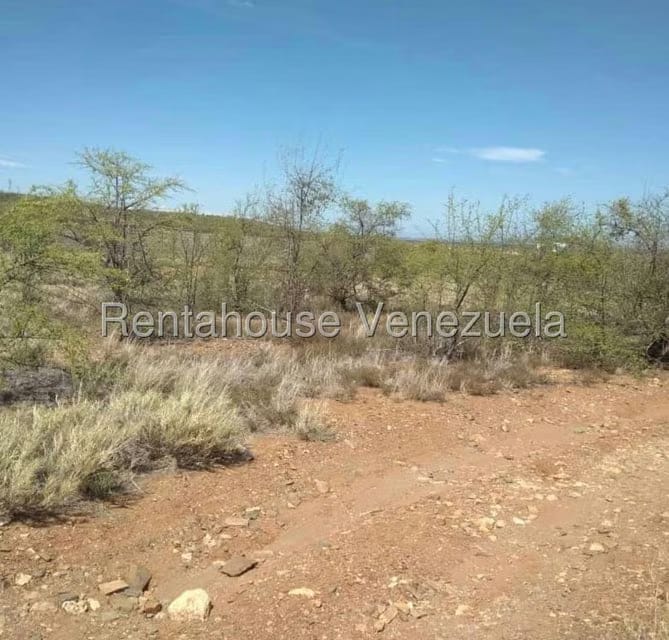 Terreno (Comercial) en Venta en Taguantar, Nueva Esparta - 13