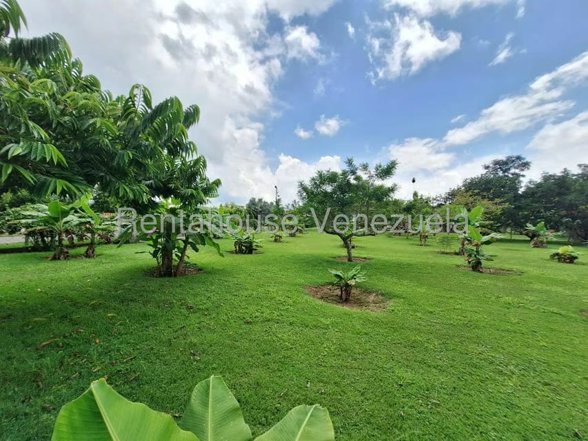 Casa (1 Nivel) en Venta en Safari Carabobo, Carabobo - 12