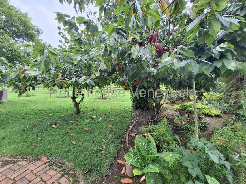 Casa (1 Nivel) en Venta en Safari Carabobo, Carabobo - 7