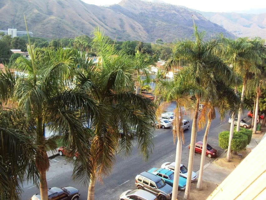 Apartamento (1 Nivel) en Venta en La Floresta, Aragua - 46