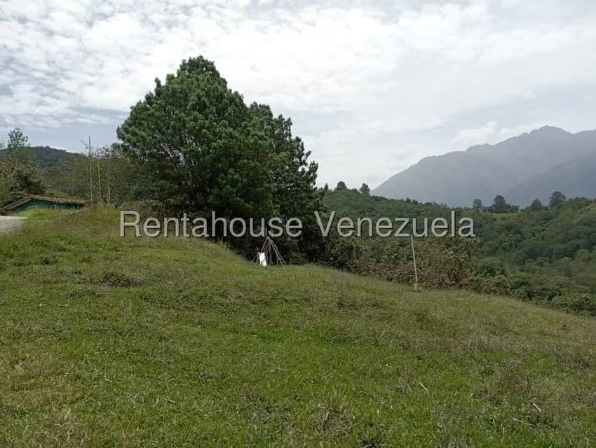Comercial (Posada) en Venta en El Vallecito, Merida - 38