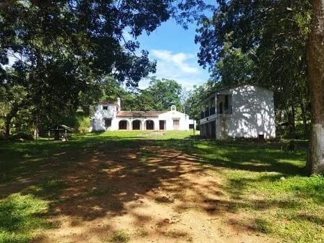 HACIENDA EN VENTA EN BEJUMA - 6