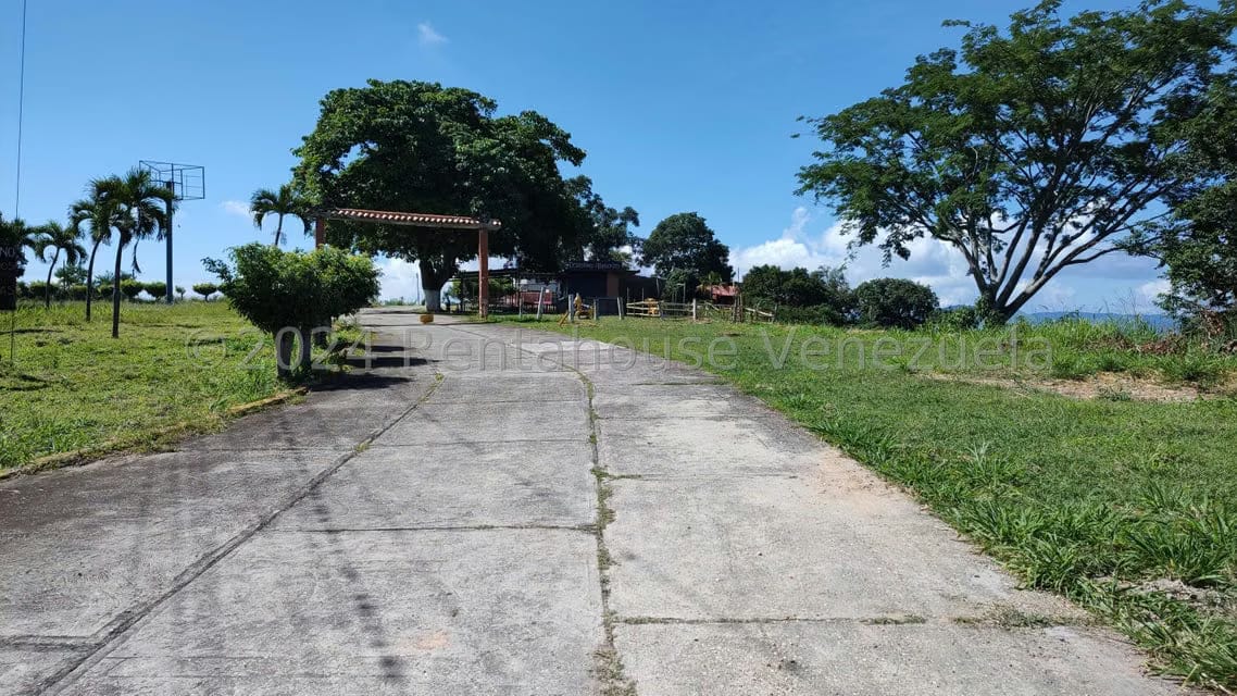 Comercial (Club Campestre) en Venta en Municipio Guaicaipuro, Miranda - 45